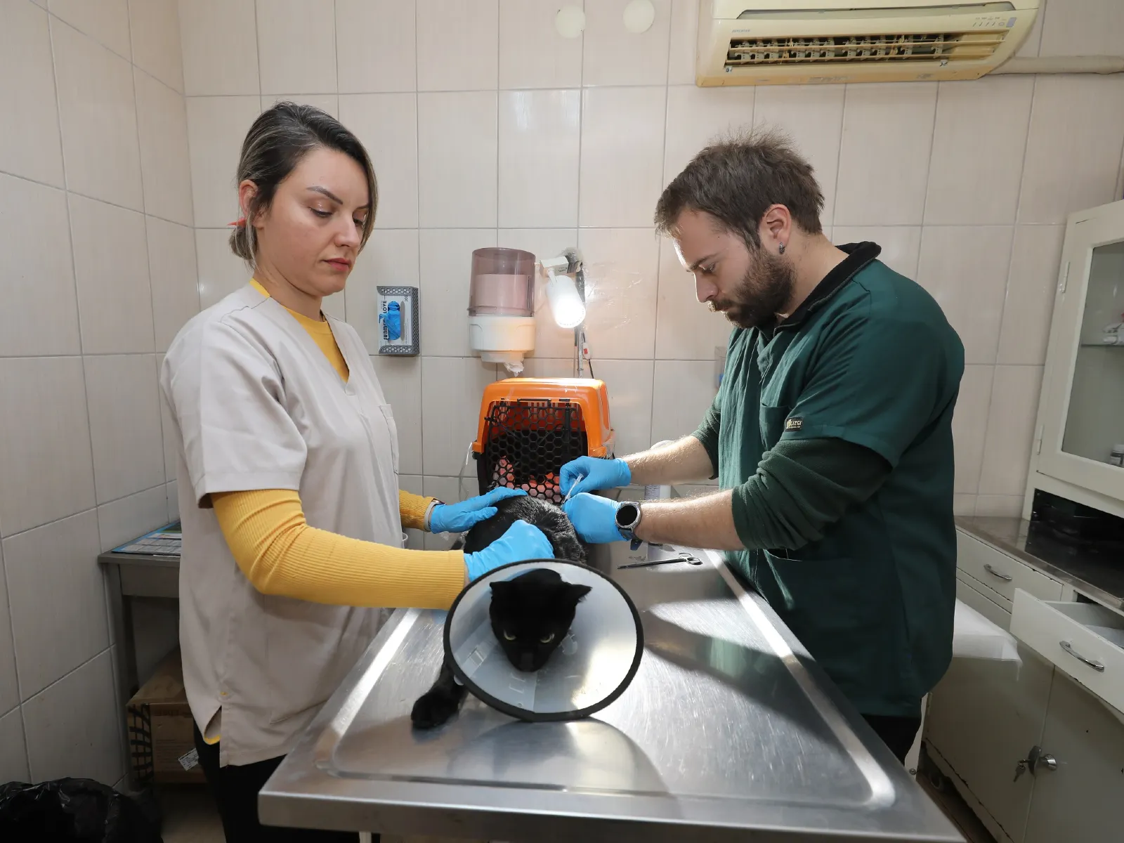 Gaziemir Belediyesi 6 bin 222 can dostun yaşamına dokundu